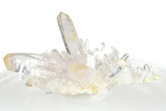 Quartz Crystal Cluster - Porter Claim, Washington #361294